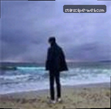 王少